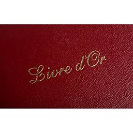 Exacompta Gästebuch Alpillez Rot, Echtleder 26x22 cm, 70 Blatt blanko, Vergé 110 g/m², Goldschnitt, Geschenkbox