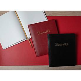 Exacompta Gästebuch Alpillez Schwarz, Echtleder 26x22 cm, 70 Blatt blanko, Vergé 110 g/m², Goldschnitt, Geschenkbox