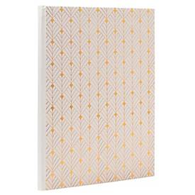 Exacompta Gästebuch Néo Déco Weiß 220x270 mm, 100 Seiten Clairefontaine, Goldschnitt, transparente Box