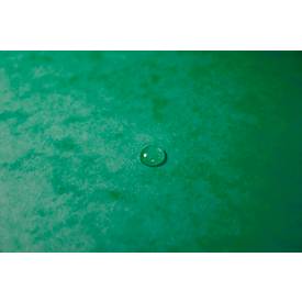 Exacompta Sammelmappe, DIN A4, mit Gummizug, 3 Klappen, beschriftbar, Colorspan-Karton, 355 g/m², grün