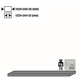 Image of Fachboden Standard für asecos Druckgasflaschenschränke, Stahlblech, lichtgrau, B 1239 x T 250 x H 25 mm, bis 75 kg