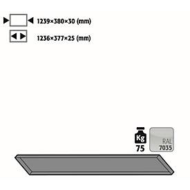 Fachboden Standard für asecos Druckgasflaschenschränke, Stahlblech, lichtgrau, B 1239 x T 380 x H 30 mm, bis 75 kg