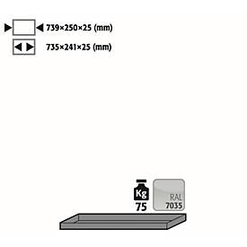 Image of Fachboden Standard für asecos Druckgasflaschenschränke, Stahlblech, lichtgrau, B 739 x T 250 x H 25 mm, bis 75 kg