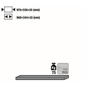 Fachboden Standard für asecos Sicherheitsschränke der UB90 Serie, Stahlblech, lichtgrau, B 975 x T 350 x H 20 mm, bis 30