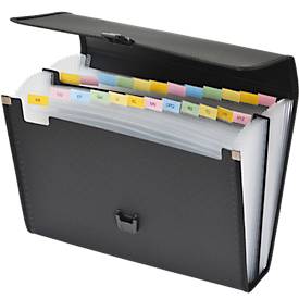 Fächermappe FolderSys, A4, Rückenbreite 65 mm, 24 Taben-Fächer, Umschlag, Bordierband, Clipverschluss & Tragegriff, B 335 x H 250 mm, PP, schwarz