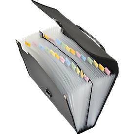 Fächermappe FolderSys, A4, Rückenbreite 65 mm, 24 Taben-Fächer, Umschlag, Bordierband, Clipverschluss & Tragegriff, B 335 x H 250 mm, PP, schwarz