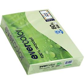 Farbiges Kopierpapier EVERCOLOR, DIN A4, 80 g/m², hellgrün, 1 Paket = 500 Blatt