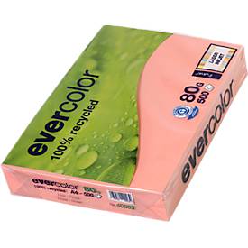 Farbiges Kopierpapier EVERCOLOR, DIN A4, 80 g/m², hellgrün, 1 Paket = 500 Blatt