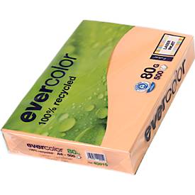 Farbiges Kopierpapier EVERCOLOR, DIN A4, 80 g/m², lachsrosa, 1 Paket = 500 Blatt