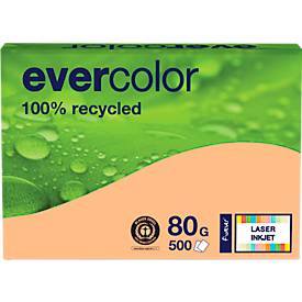 Farbiges Kopierpapier EVERCOLOR, DIN A4, 80 g/m², lachsrosa, 1 Paket = 500 Blatt