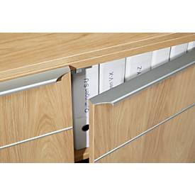 Flügeltürenschrank QUANDOS BOX, 2 Ordnerhöhen, B 1000 x T 440 x H 748 mm, Eiche Masonic