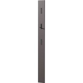 Garderobenpaneel, MDF melaminharzbeschichtet, 3 ausklappbare Haken, ca. B 150 x T 30 x H 1700 mm, graphit