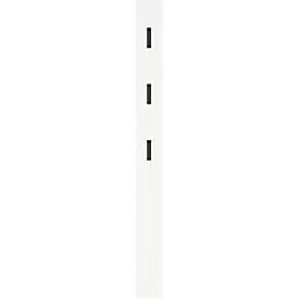 Garderobenpaneel, MDF melaminharzbeschichtet, 3 ausklappbare Haken, ca. B 150 x T 30 x H 1700 mm, Weiß