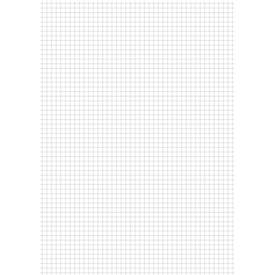 Geschäftsbuch, kariert, A4, 192 Blatt