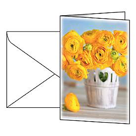 Image of Grußkarte Sigel „Ranunculus“, Format B6, 115 x 170 mm, mit weißen & gummierten Umschlägen, gelb, FSC®-Glanzkarton, 10 Stück