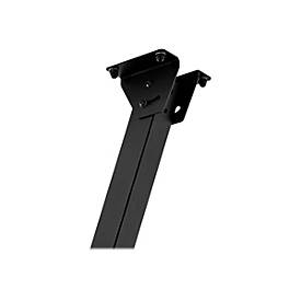 Hagor Ceilingmount OM46N-D - Klammer - für Flachbildschirm - Schwarz - Bildschirmgröße: 116.8 cm (46')