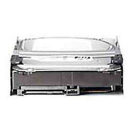 HP Enterprise - Festplatte - 300 GB - 2.5' SFF (6.4 cm SFF)
