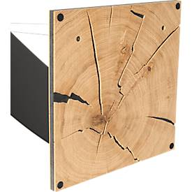 Infoständer, Segelform, für Dokumente bis A4, 360 x T 360 x H 960 mm, Hirnholz-Eiche/Acrylglas, schwarz-matt