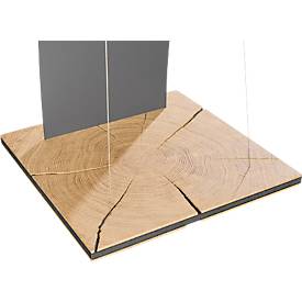 Infoständer, Segelform, für Dokumente bis A4, B 360 x T 360 x H 960 mm, Hirnholz-Eiche/Acrylglas, grau-matt