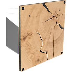 Infoständer, Segelform, für Dokumente bis A4, B 360 x T 360 x H 960 mm, Hirnholz-Eiche/Acrylglas, grau-matt