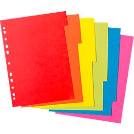 Kartonregister Herlitz, A4, blanko Taben, Euro-Lochung, Recycling-Karton, 1 Satz 6-teilig mit 6 Farben