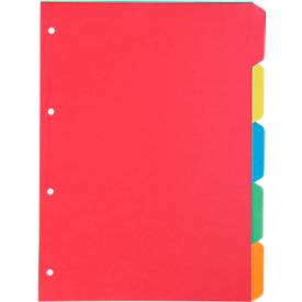 Kartonregister Schäfer Shop Select, 1er Pack, 4-fach Lochung, 160 g/qm Recyclingkarton, 5-teilig