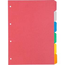 Kartonregister Schäfer Shop Select, 1er Pack, 4-fach Lochung, 160 g/qm Recyclingkarton, 6-teilig