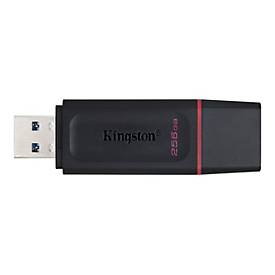 Kingston DataTraveler Exodia - USB-Flash-Laufwerk - 256 GB