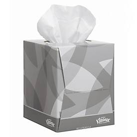Kleenex® Kosmetiktücher 8834, 2-lagig, 12 Boxen á 88 Tücher, Einzeltuchentnahme, weiß