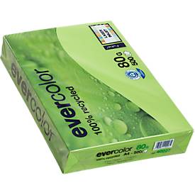 Kopierpapier EVERCOLOR, farbig, DIN A4, 80 g/m², lindgrün, 500 Blatt