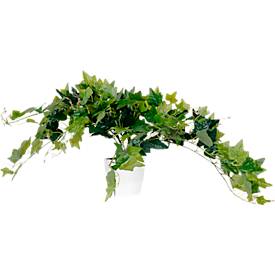 Kunstpflanze meet by Paperflow Efeu, inkl. Kunststoff-Topf, H 800 mm, PEVA