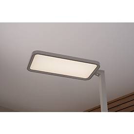 LED-Stehleuchte Butler, 80 W, 8800 lm, 4000 K, bildschirmarbeitsplatzfähig, direkt/indirekt leuchtend, stufenlos dimmbar, Bewegungssensor, silber