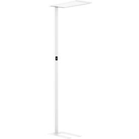 LED-Stehleuchte Dotlux OFFICEbutler, Leistung 55 W, 5500 lm, 4000 K, dimmbar, direkt/indirekt leuchtend, signalweiß