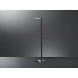 LED Stehleuchte Hansa Larimar, verstell- & drehbar, Energieeffizienzklasse E, 81 Lumen, 4000 K, H 1997 mm, schwarz