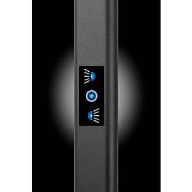 LED Stehleuchte Hansa Larimar, verstell- & drehbar, Energieeffizienzklasse E, 81 Lumen, 4000 K, H 1997 mm, schwarz
