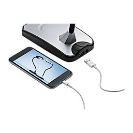 LED-Tischleuchte Twist, 300 Lumen, Flexarm, Lebensdauer 30.000 Stunden, schwarz