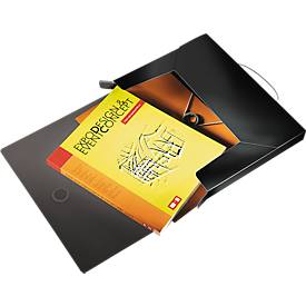 Leitz Dokumentenmappe Solid, DIN A4, aus PP, schwarz