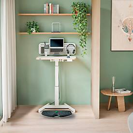 Leitz Ergo Active Balance Board, ergonomisch, für dynamisches Bewegen, um 14° geneigt, entnehmbare Massagekugel, bis 200 kg, dunkelgrau