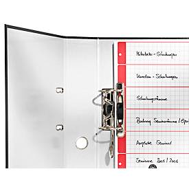 LEITZ® Karton Register, zur freien Verwendung, mit Rasteraufdruck