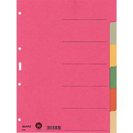LEITZ® Register Blanko, 6 Taben, zur freien Verwendung, einzeln