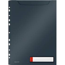 Leitz® Sichthülle Cosy Privacy Maxi, blickdicht, A4, bis 150 Blatt, Lochrand einklappbar, Schreibschild, 3 Stück, grau