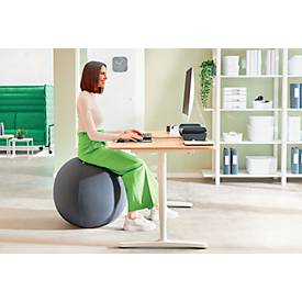 Leitz Sitzball Ergo Active, mit Anti-Wegroll-Design, ø 550 mm, dunkelgrau