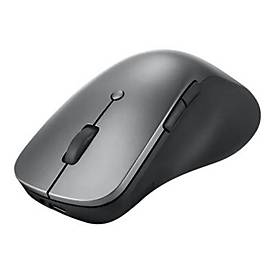 Lenovo Professional - Maus - ergonomisch - optisch