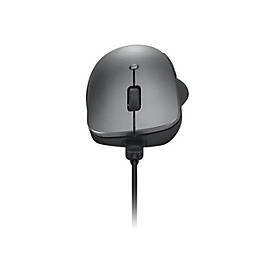 Lenovo Professional - Maus - ergonomisch - optisch