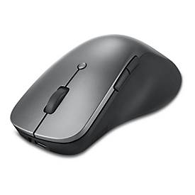 Lenovo Professional - Maus - ergonomisch - optisch