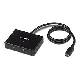 Lindy - Hub - 2 x USB 3.2 Gen 1 - Desktop