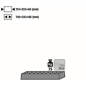 Image of Lochblecheinsatz Standard für asecos Sicherheitsschränke der K90 und UB90 Serie, Stahlblech, lichtgrau, B 751 x T 353 x H 60 mm, bis 75 kg