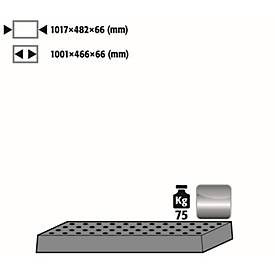 Image of Lochblecheinsatz Standard für asecos Sicherheitsschränke der Q30, Q90 und S90 Serie, Edelstahl 1.4016, B 1017 x T 482 x H 66 mm, bis 75 kg