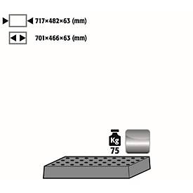 Image of Lochblecheinsatz Standard für asecos Sicherheitsschränke der Q30, Q90 und S90 Serie, Edelstahl 1.4016, B 717 x T 482 x H 63 mm, bis 75 kg