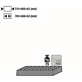 Lochblecheinsatz Standard für asecos Sicherheitsschränke der Q30, Q90 und S90 Serie, Stahlblech, lichtgrau, B 717 x T 482 x H 63 mm, bis 75 kg